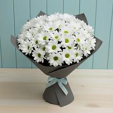 Букет белые хризантемы в Верхопенье Букет цветов из:  Хризантемы в Верхопенье